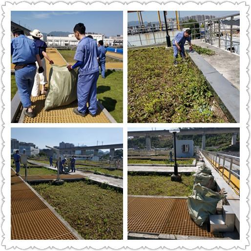 久久人妻内射无码一区三区