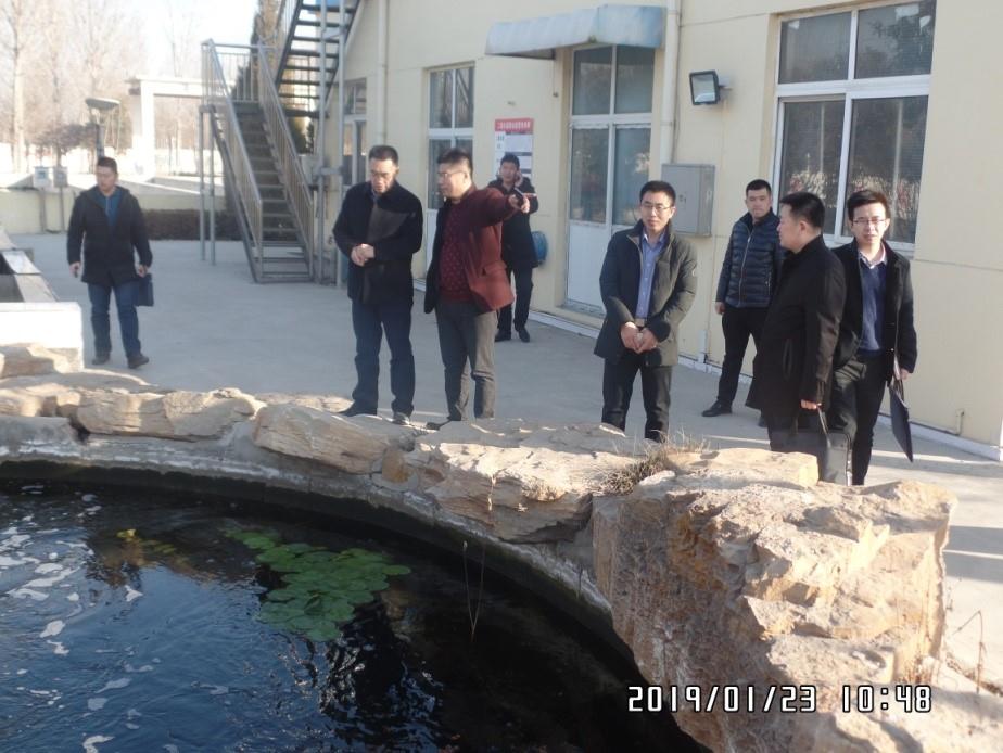 久久人妻内射无码一区三区