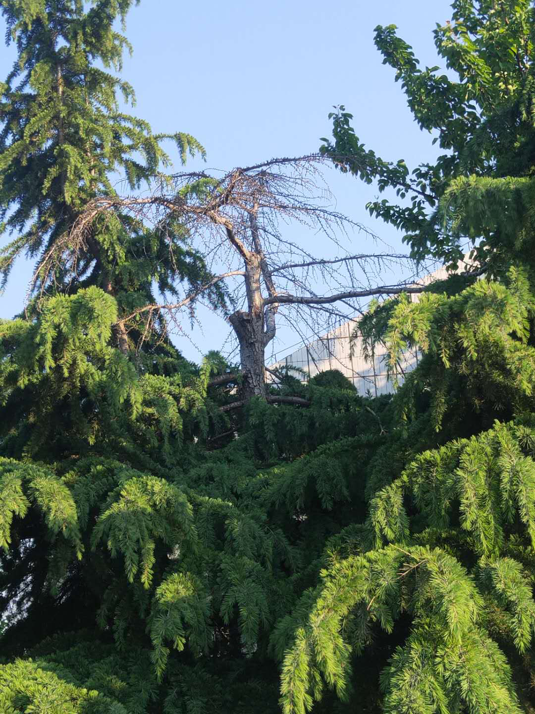 久久人妻内射无码一区三区