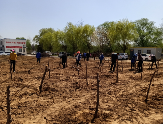 久久人妻内射无码一区三区