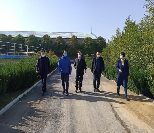 久久人妻内射无码一区三区