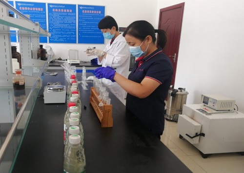 久久人妻内射无码一区三区