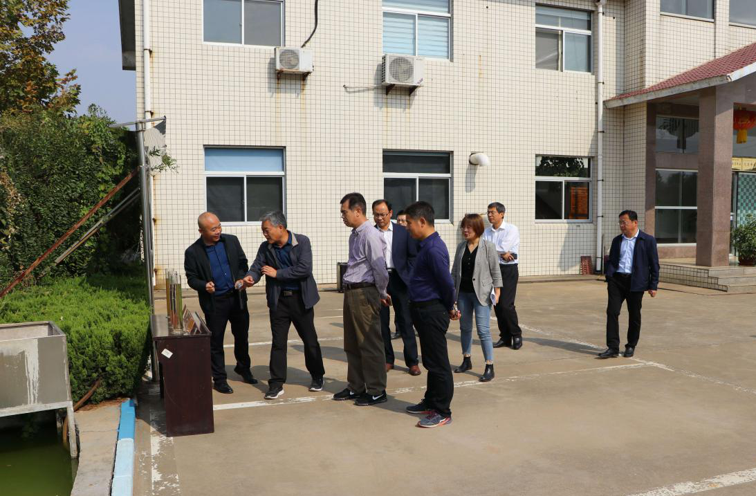 久久人妻内射无码一区三区