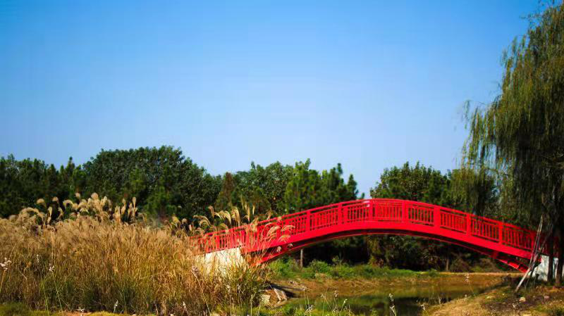 久久人妻内射无码一区三区