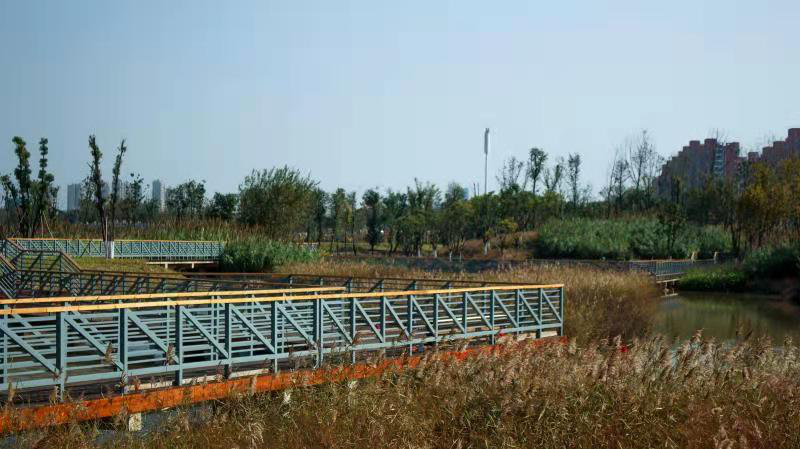 久久人妻内射无码一区三区