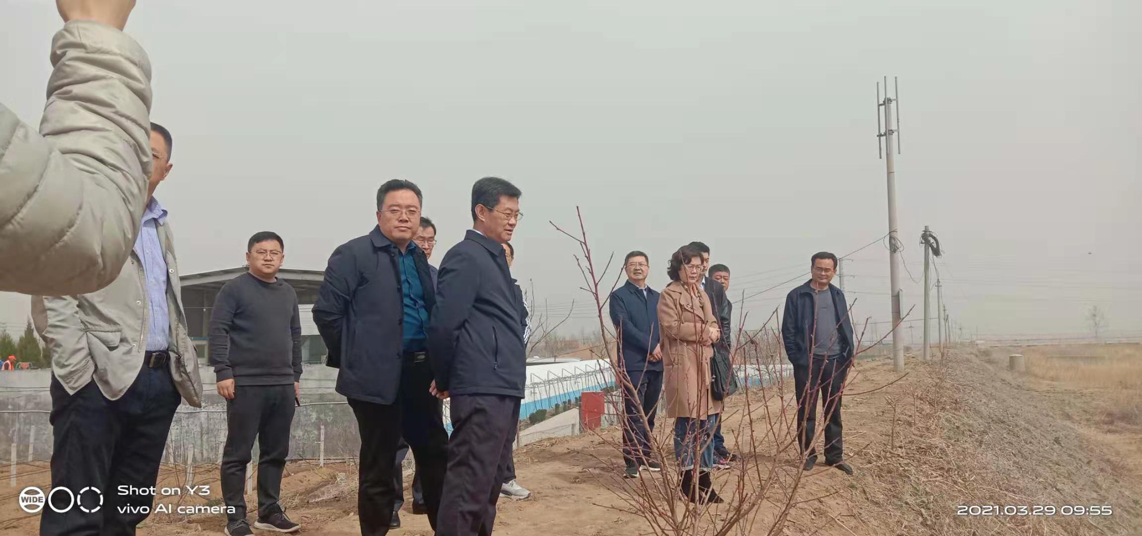 久久人妻内射无码一区三区