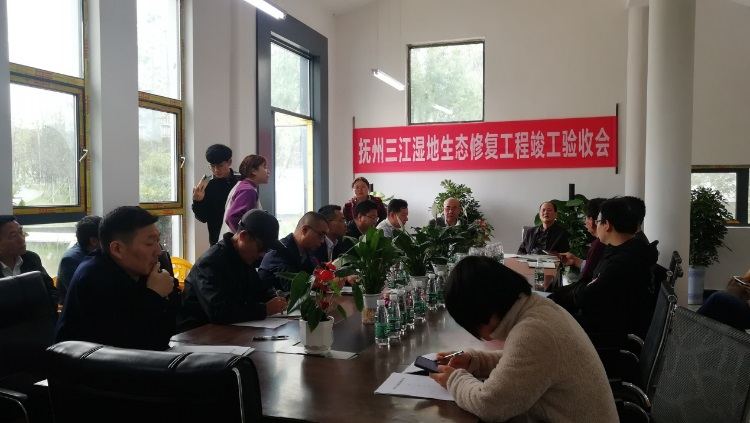 久久人妻内射无码一区三区