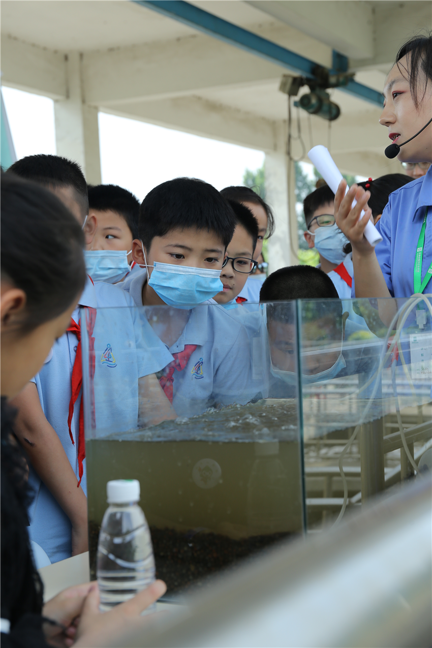 久久人妻内射无码一区三区