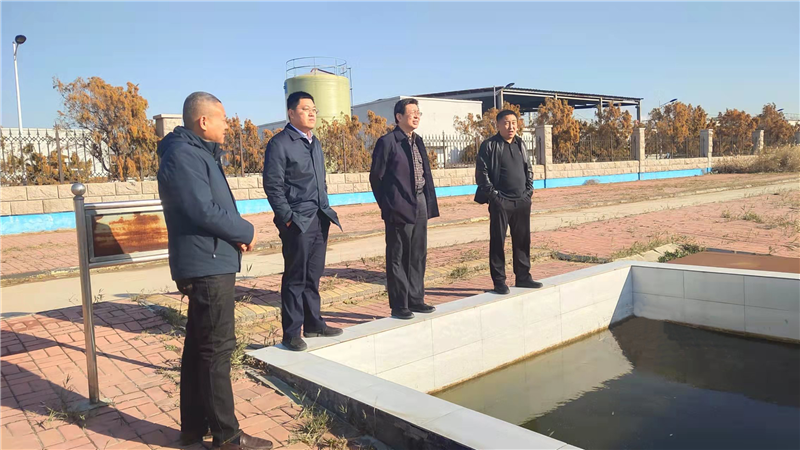 久久人妻内射无码一区三区